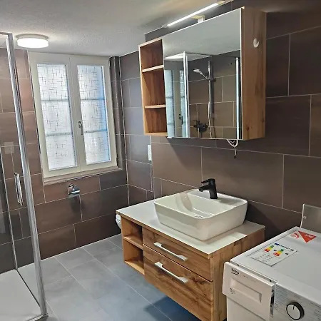 20 Nach Interlaken 公寓 弗鲁蒂根