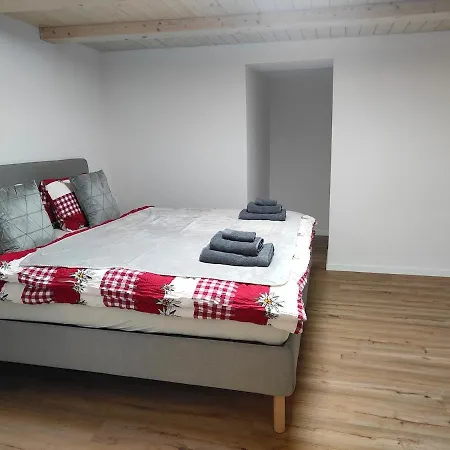 公寓 20 Nach Interlaken 弗鲁蒂根