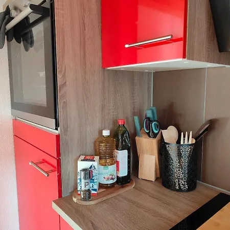 20 Nach Interlaken 公寓 弗鲁蒂根