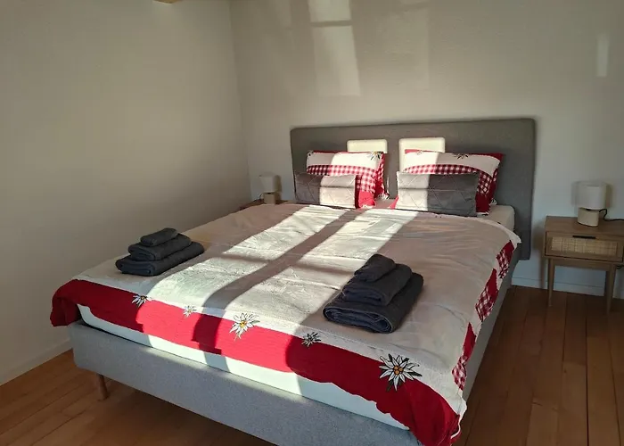 20 Nach Interlaken Apartment Frutigen