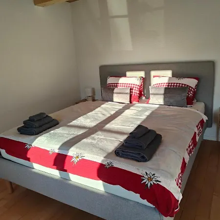 20 Nach Interlaken Apartment Frutigen